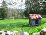 Cliquer pour agrandir